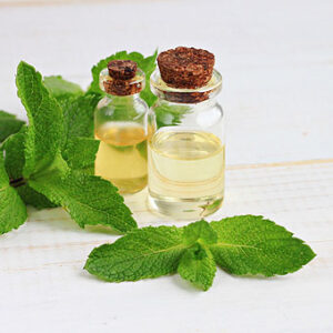 Mint leaves and oils